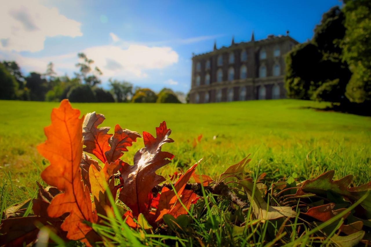 The Alms House Strangford Villa Bagian luar foto